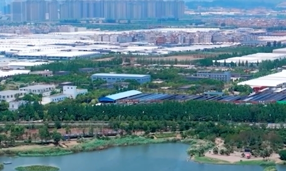 杨武民带队赴渭南市白水县及有关重点企业开展“四个走出去”专题调研