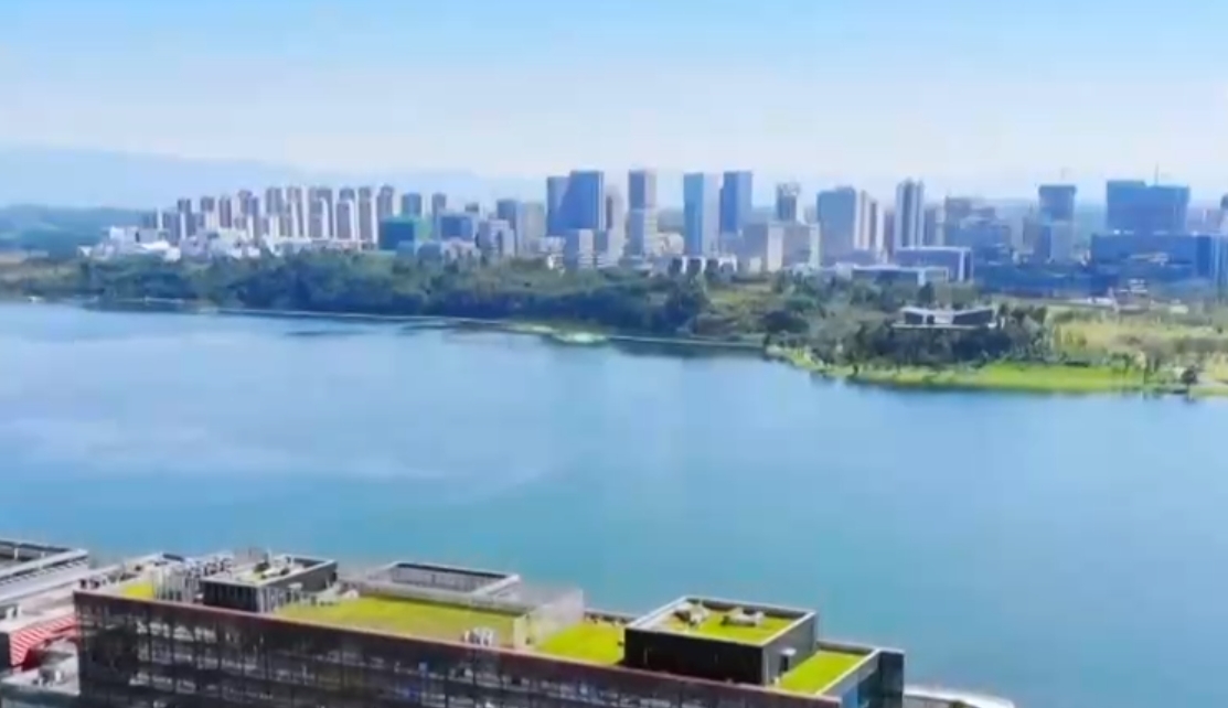 2025夏季达沃斯论坛实现全绿色用能