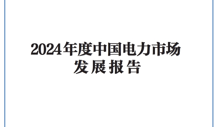 2024年度中国电力市场发展报告