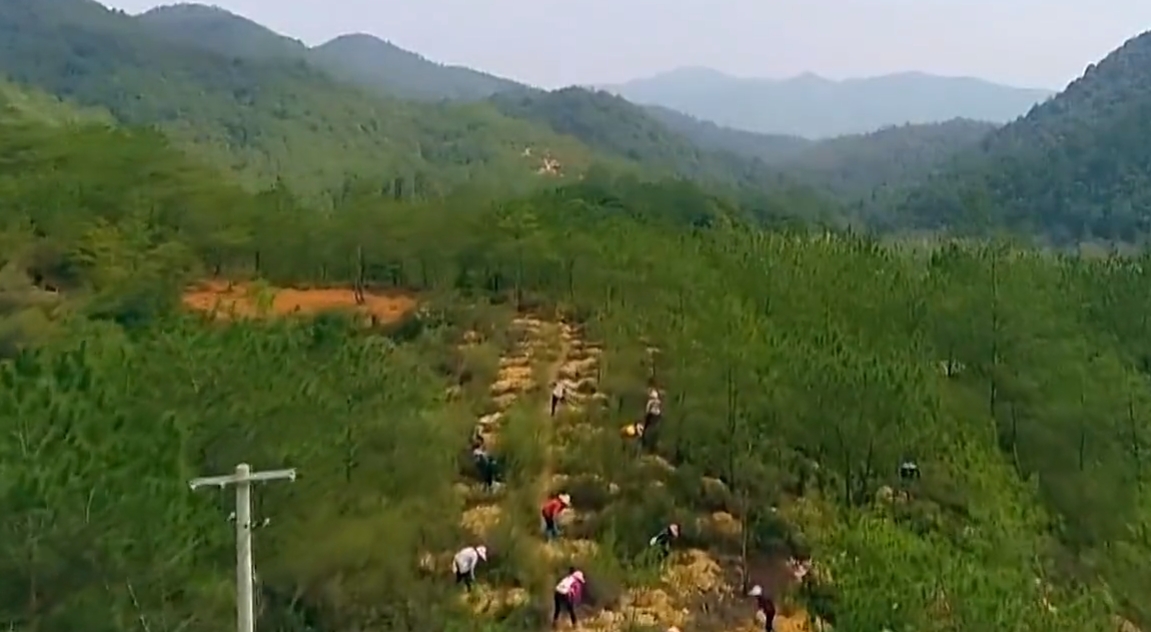 陕西119座煤矿获评安全高效煤矿  数量居全国第三