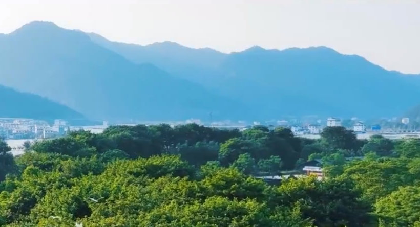 奏响绿色高质量发展动人旋律