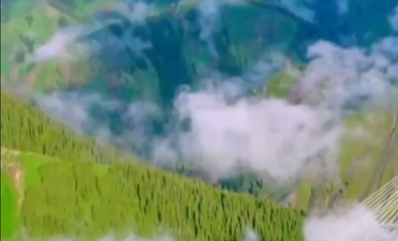 陕西推动生态环境损害赔偿落地见效
