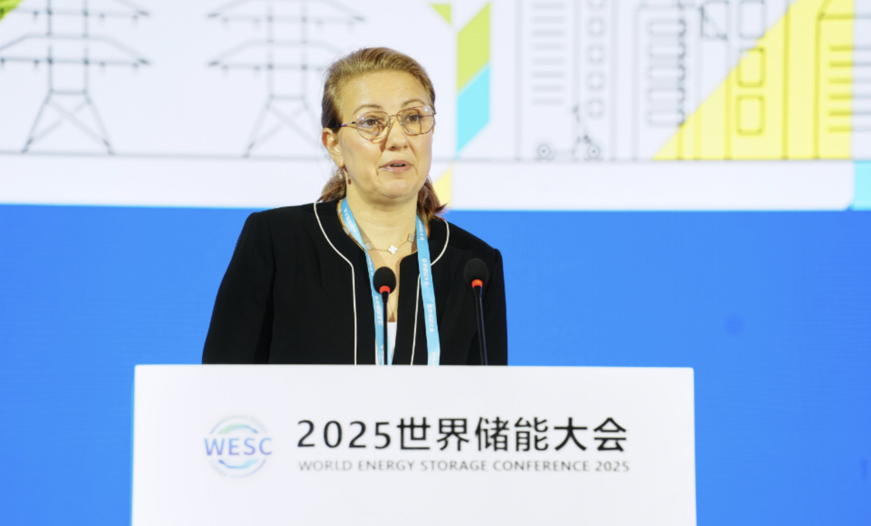 国际可再生能源署(IRENA)行动联盟主任伊莉娜·拉多斯拉沃娃·斯特凡诺娃: 中国实践表明,当政策、规模与速度协同发力就能创造产业奇迹  ​ 