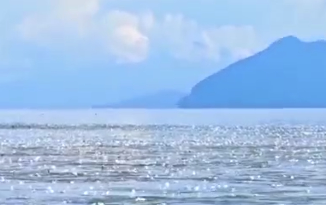生态环境法典2编草案五大看点