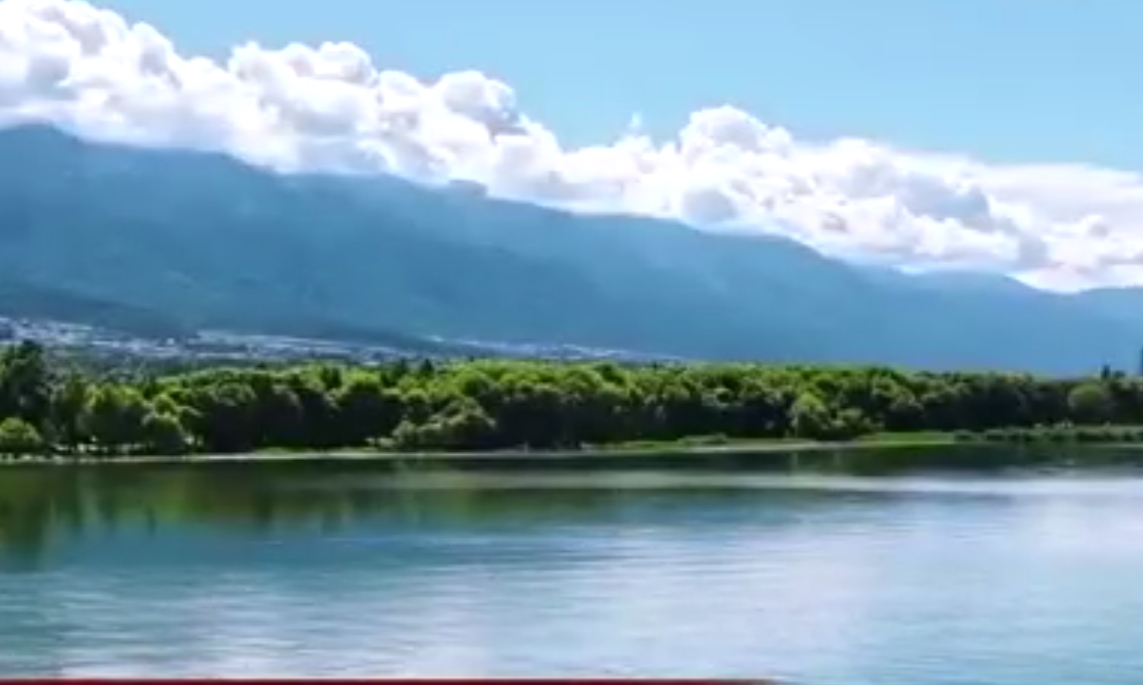 青山绿动展新姿 —— 陕西健全机制推动秦岭生态环境质量持续好转