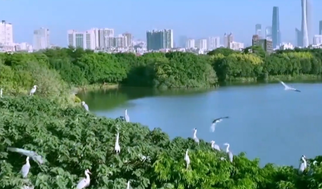 推动发展方式绿色转型的行动指南