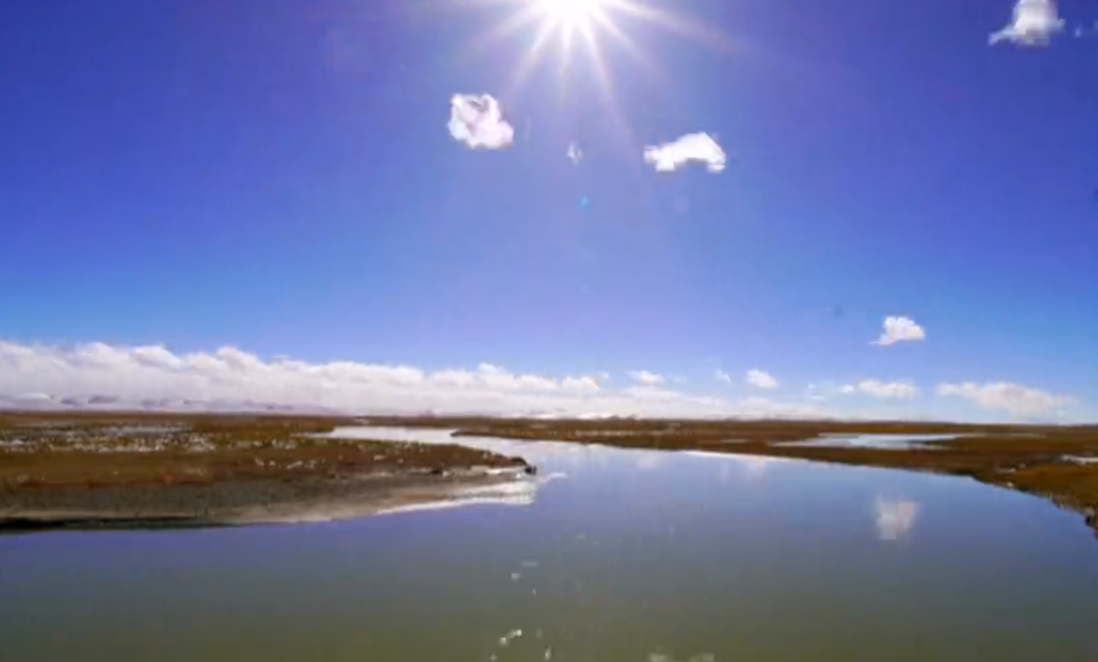 绿色低碳点亮新生活  —— “双碳”目标在行动 (下篇)