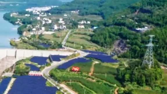 为浙江经济发展注入绿色动能