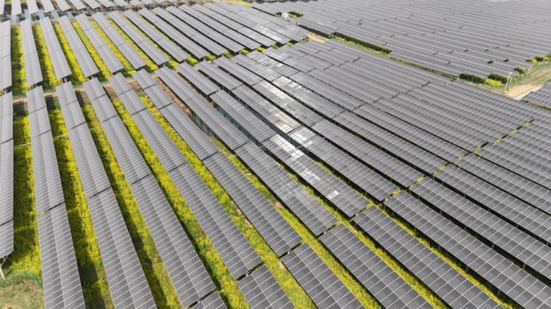 农光互补绘就振兴画卷 —— 国家电投中电大别山新能源基地为老区送“阳光收益”