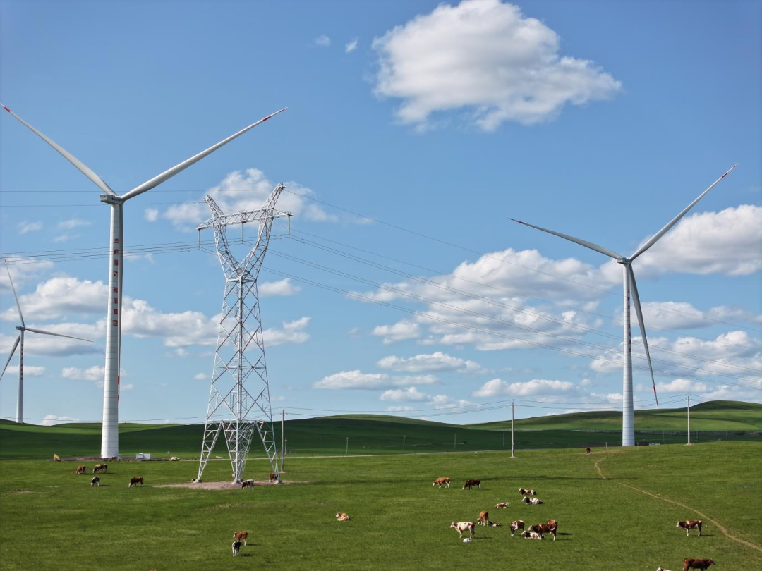 科技赋能向“新”逐“绿” “风光”无限好  ​