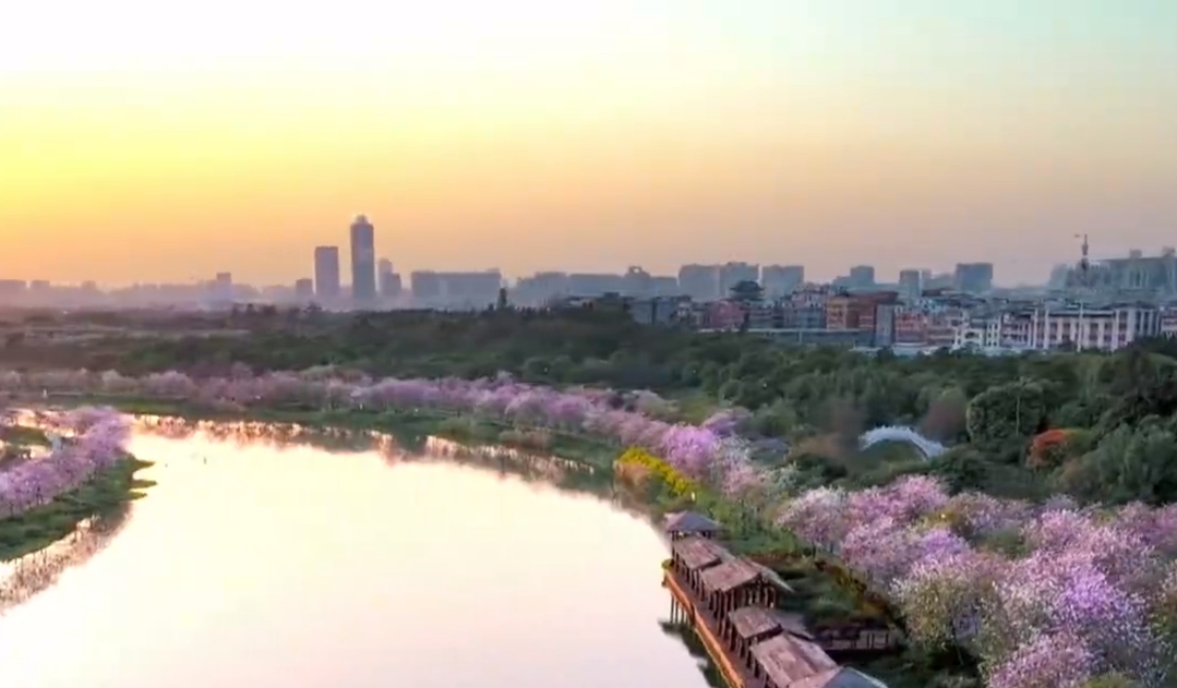 坚定遵循共同但有区别的责任 深化碳市场国际交流与合作| 碳市场建设解读⑮
