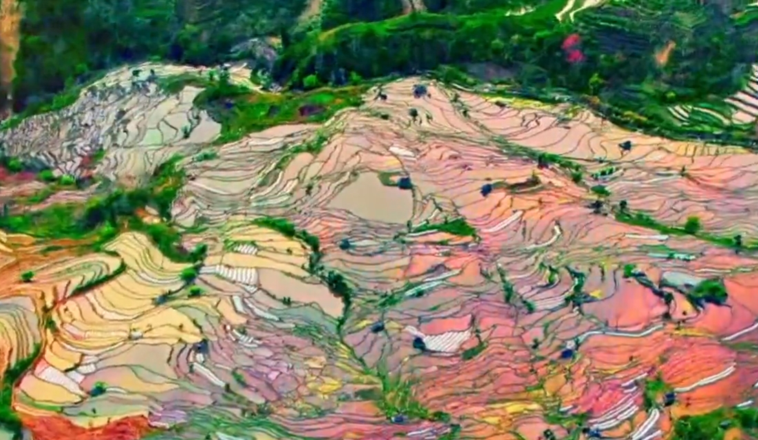 深化碳市场国际交流合作 推动构建公平合理、合作共赢的全球气候治理体系 | 碳市场建设解读⑲