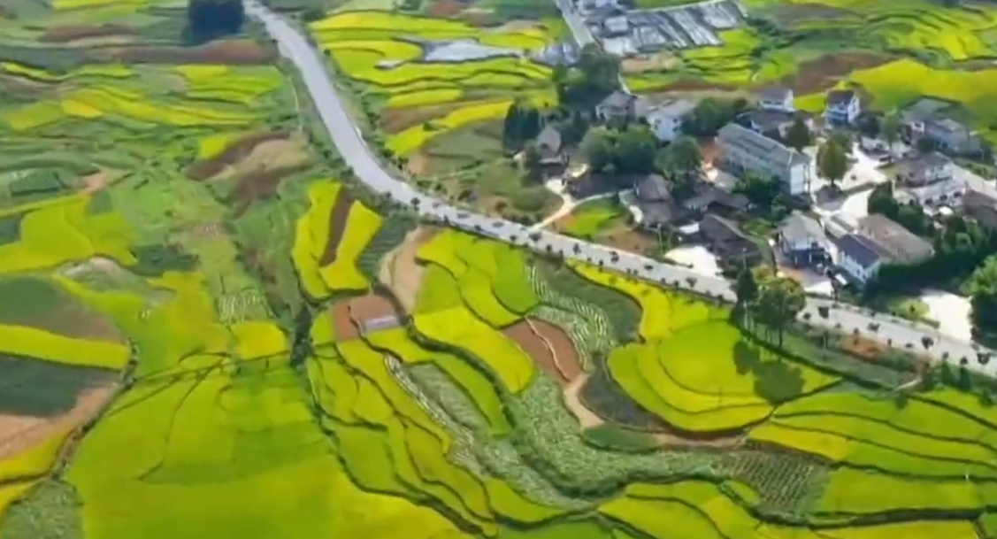 统筹山水林田湖草沙系统治理,推动生态环境质量持续好转 —— 陕西生态文明建设成效显著