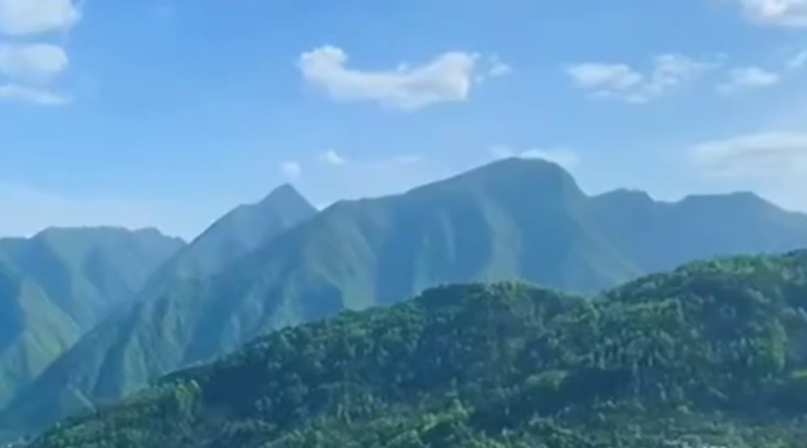 绿色低碳转型取得历史性成就