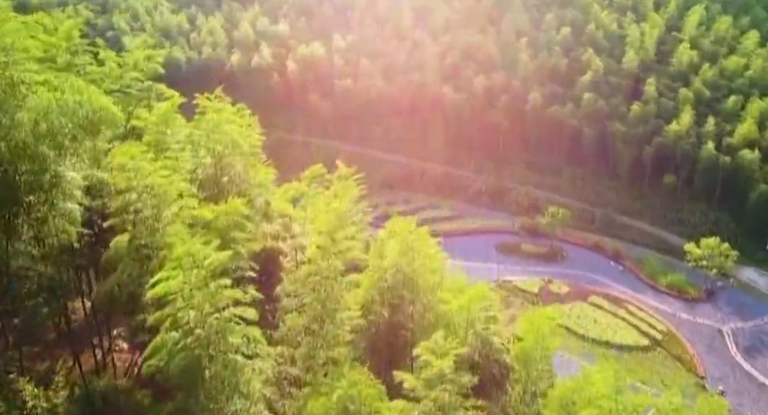 国家发展改革委新闻发言人就《煤炭清洁高效利用重点领域标杆水平和基准水平(2025年版)》答记者问