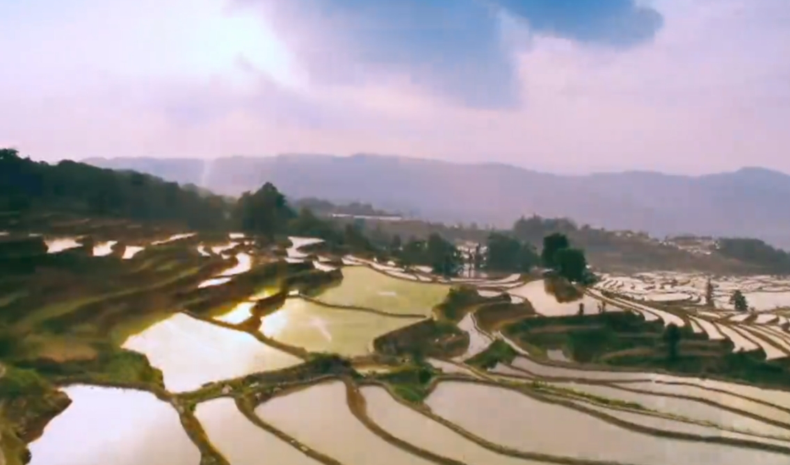 我国农业发展全面绿色转型取得积极成效