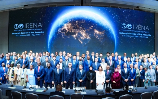 国家能源局负责人出席国际可再生能源署第16届全体大会