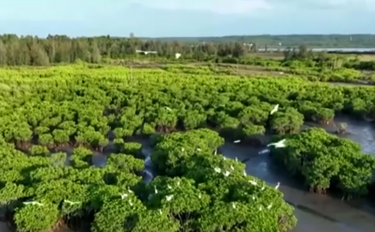 宁夏发布首份省级生态保护修复公报