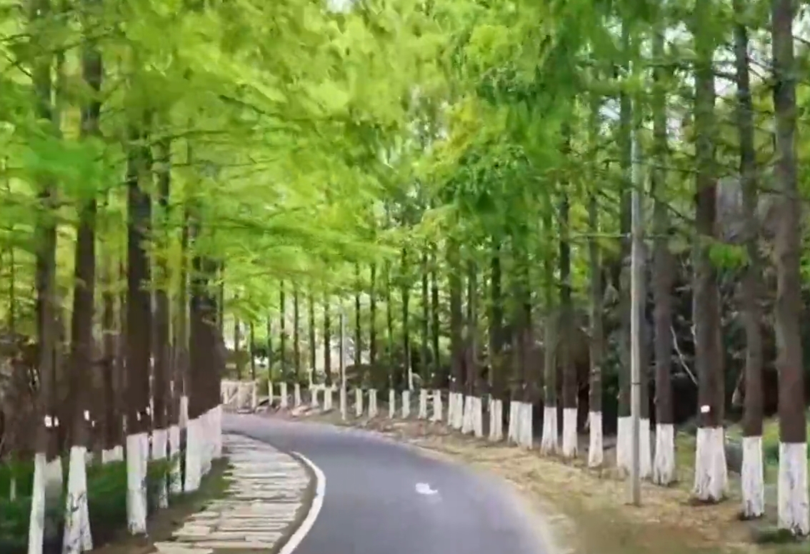 从小行动里看陕西发展的绿色转型