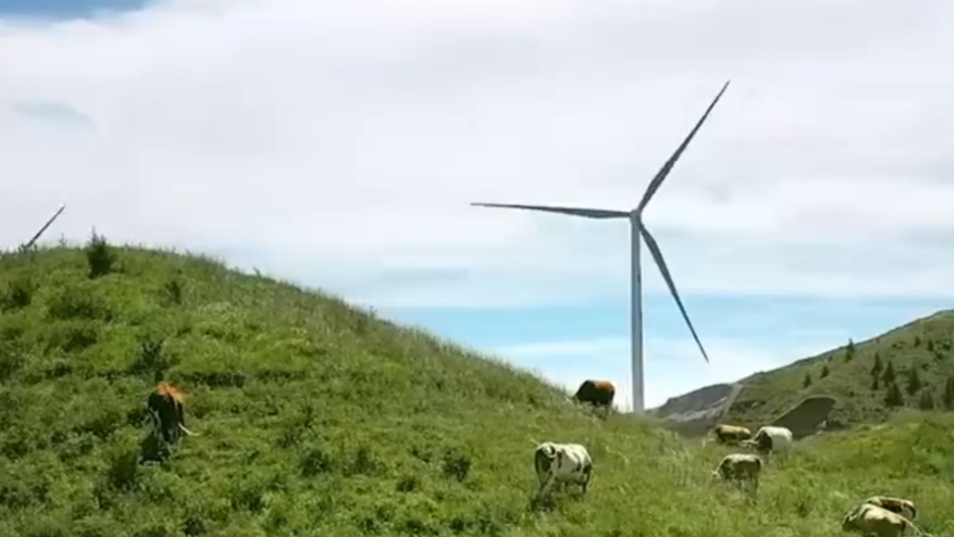 交易量实现快速增长  天津绿电交易量连续两年破百亿千瓦时