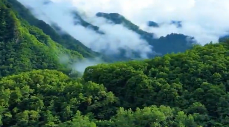 采用创新架构 新型“智能”芯片可大幅节能提速