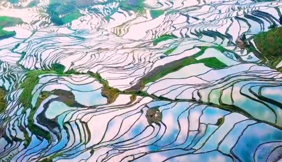 全文 | 生态环境部党组书记孙金龙在2026年全国生态环境保护工作会议上的讲话