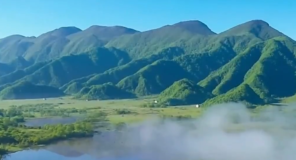 人工光合作用技术迎来关键突破 二氧化碳与水在自然光下高效“变能源”