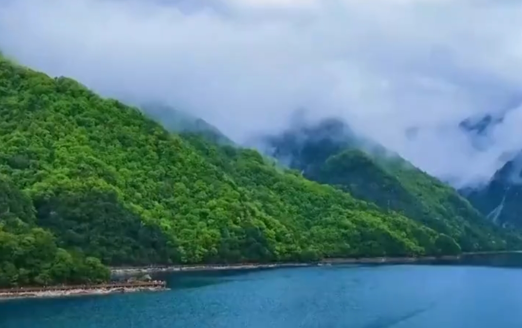 《山东省公共机构节能改造碳普惠方法学》发布