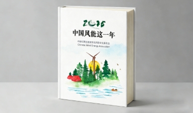 《2025,中国风能这一年》|娄益民:中国风电的“价值重塑”之年