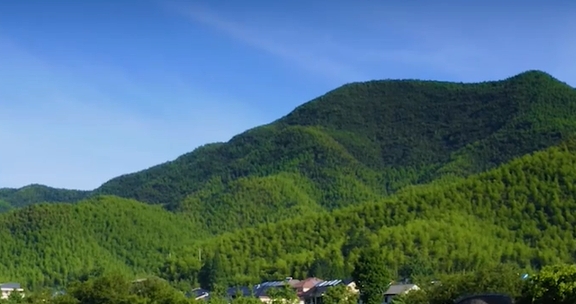 黑龙江召开生态环境保护重点任务攻坚推进会议