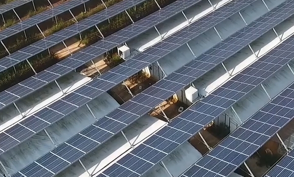 华东能源监管局加强安徽低压分布式光伏调控监督工作