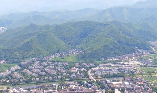 国家能源局召开绿色燃料产业发展专题座谈会