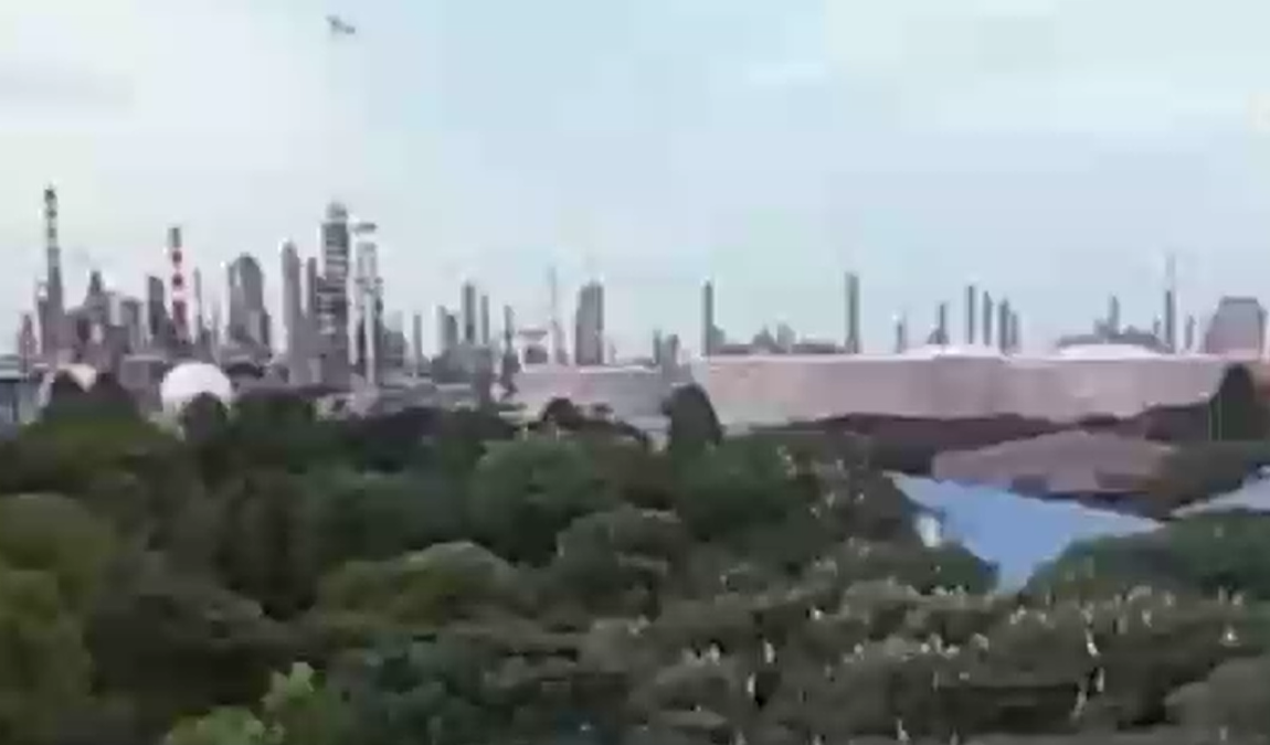 2025年中国一次能源生产总量首次突破50亿吨标准煤