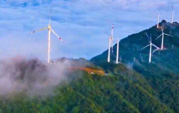 “让绿色发展真正惠及世界每个地方” —— 中国携手世界共绘可持续发展新蓝图