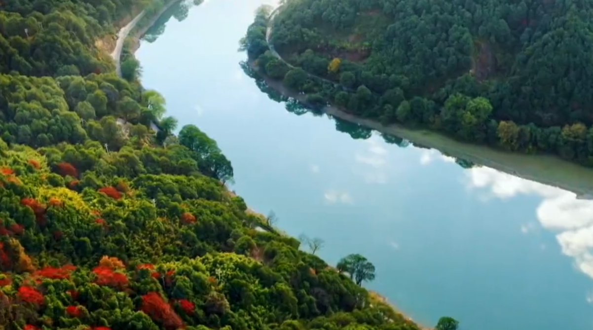 节能与综合利用司组织召开电解锰渣综合利用工作座谈会