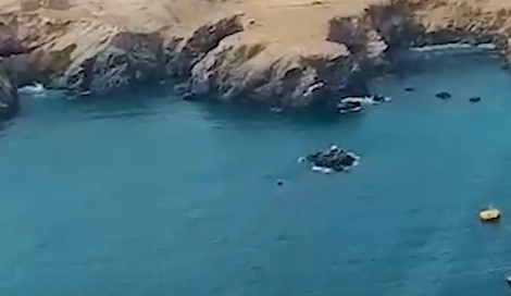 生态环境法典草案:“绿色低碳发展”独立成编,系全球首创