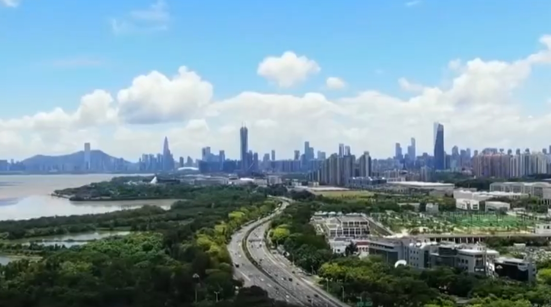 【宝鸡】2025年清洁能源发电量同比增长14.9%