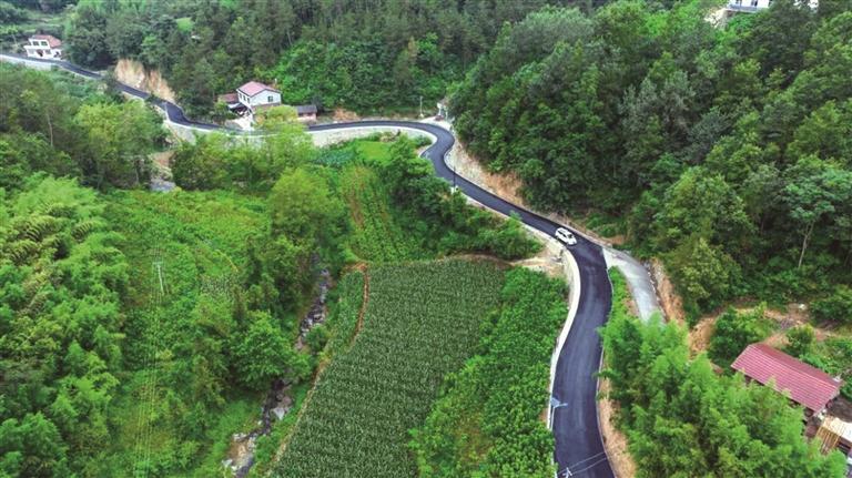 激活绿色发展动能 —— 汉阴林业高质量发展小记