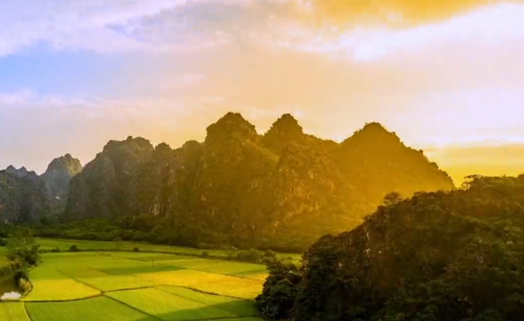 今年陕西锚定“七个突出”推动生态建设全面提质增效