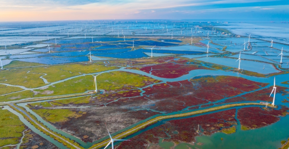 我国碳数据质量提升更有底气  ​