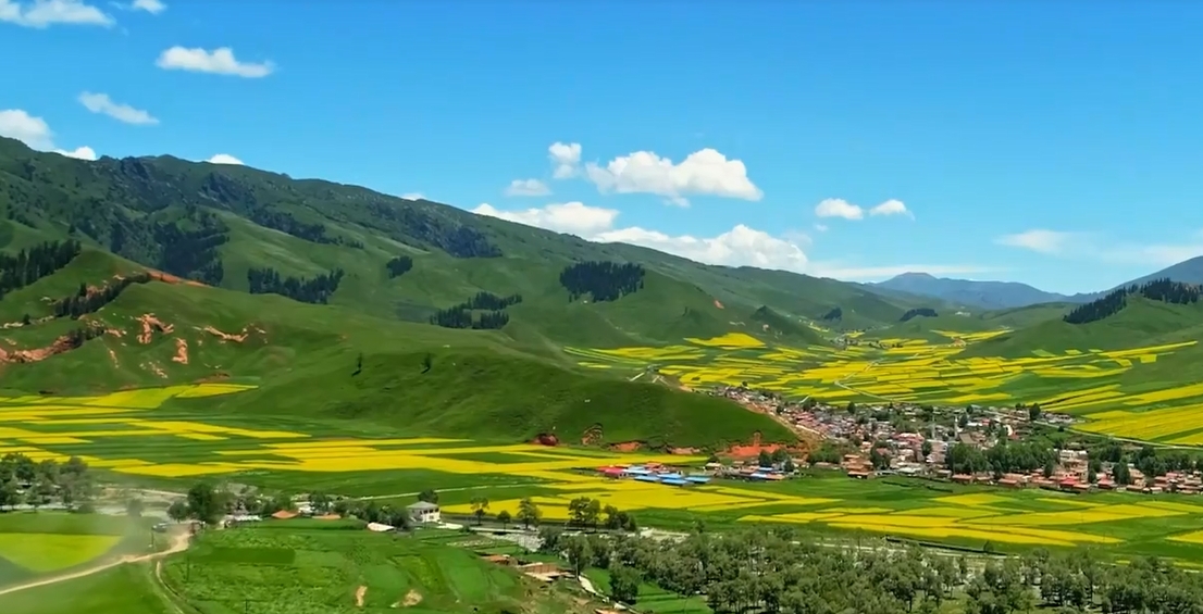 赵刚在开局起步“十五五”陕西专场新闻发布会上作主旨发布并回答记者提问  以正确政绩观抓好“十五五”规划纲要落实 推动谱写陕西新篇、争做西部示范迈出更大步伐