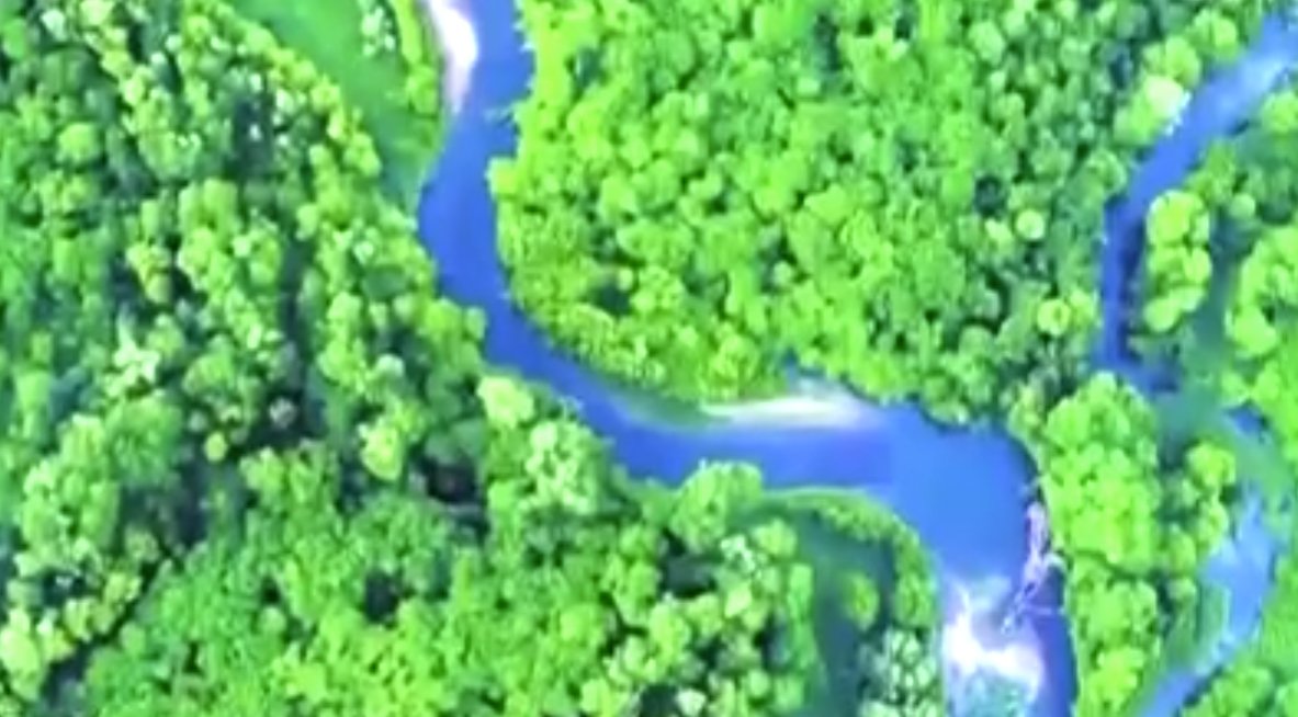 国家发展改革委有关负责同志就《碳达峰碳中和综合评价考核办法》答记者问