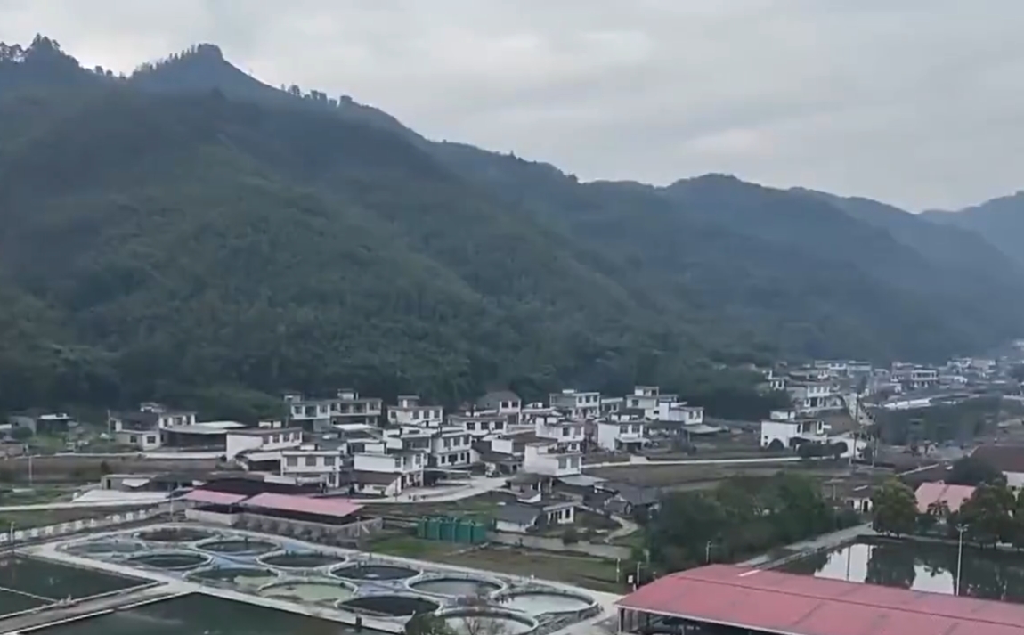 【咸阳】老工业基地长出“新”力量
