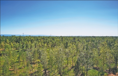 毛乌素沙地深处的绿色接力（美丽中国）
