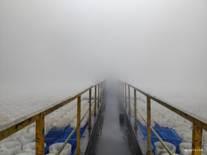 /1/editor/202602/1770108031388.png /1/editor/202602/1770108031388.png