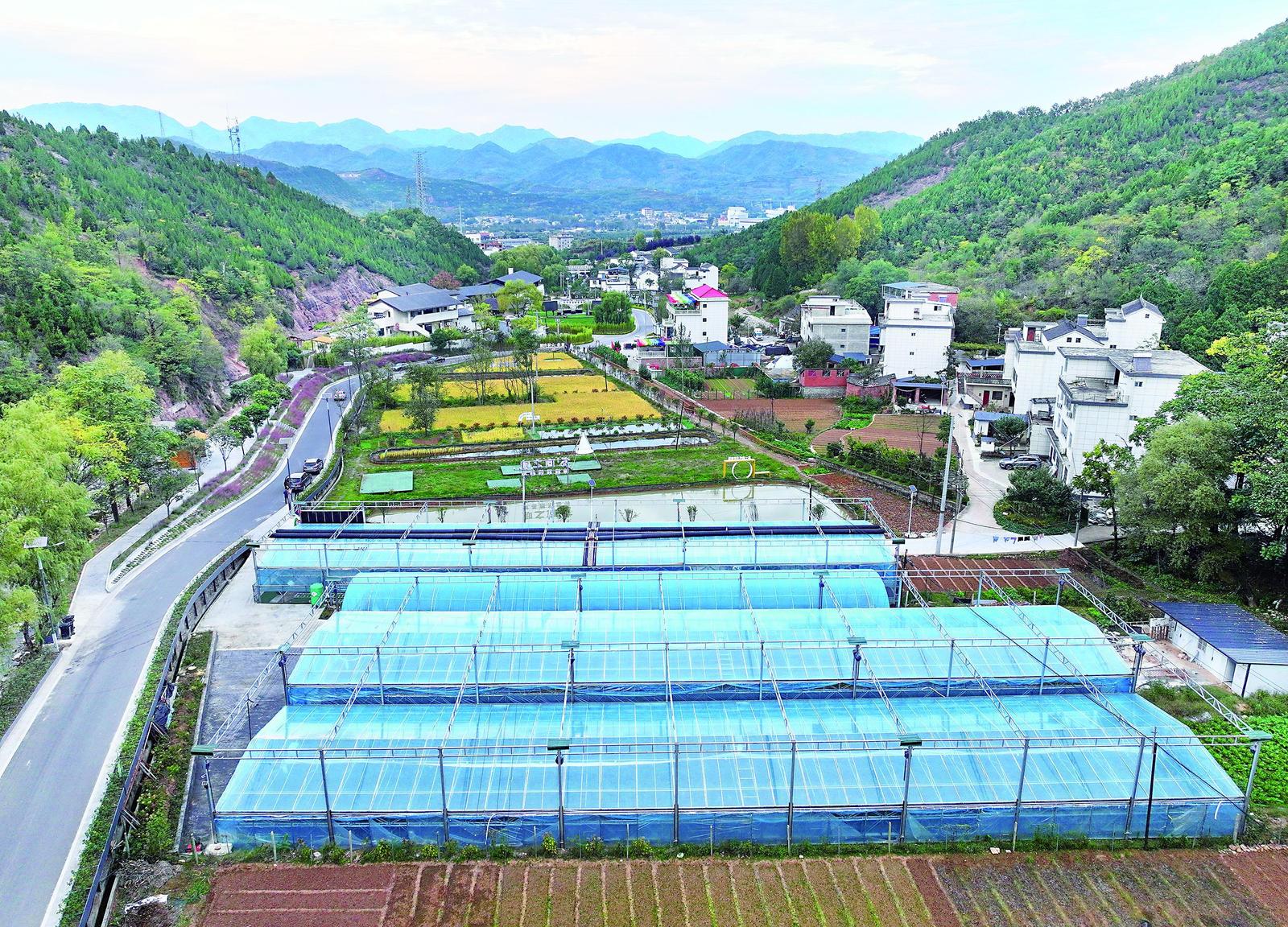 守护汉江丹江水源 共享绿色发展成果